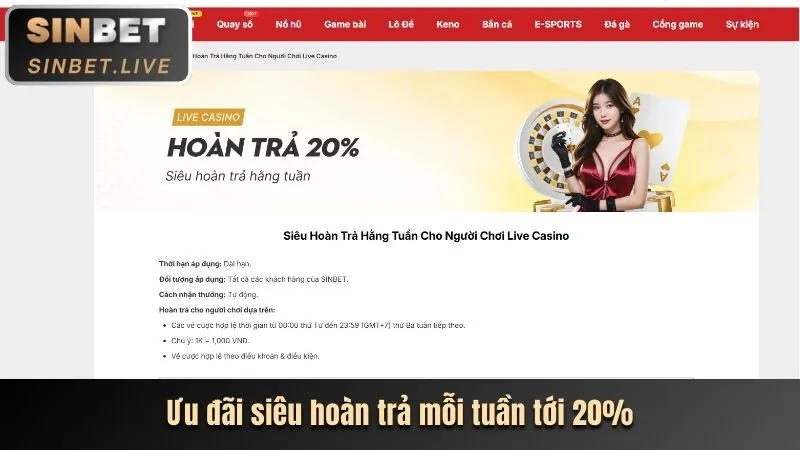 Hệ thống cấp bậc VIP tại oxbet in